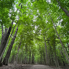 Parc national du Mont-Saint-Bruno