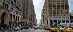 Madison Square Garden