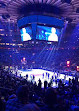 Madison Square Garden