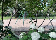 City Garden Park