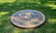 African Lions at Bronx Zoo