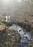 Cub Run Stream Valley Park