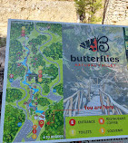 Butterflies Valley Parking