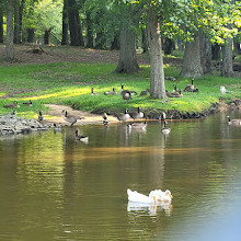 Thompson Park Zoo