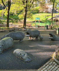 Parco giochi per ippopotami