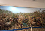 "The Danube Delta" Museum of Ecotourism