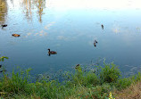 Cheadle Lake Park