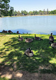 City Park Pavilion