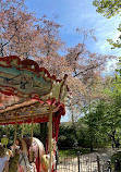 Carousel in the Old Town Garden