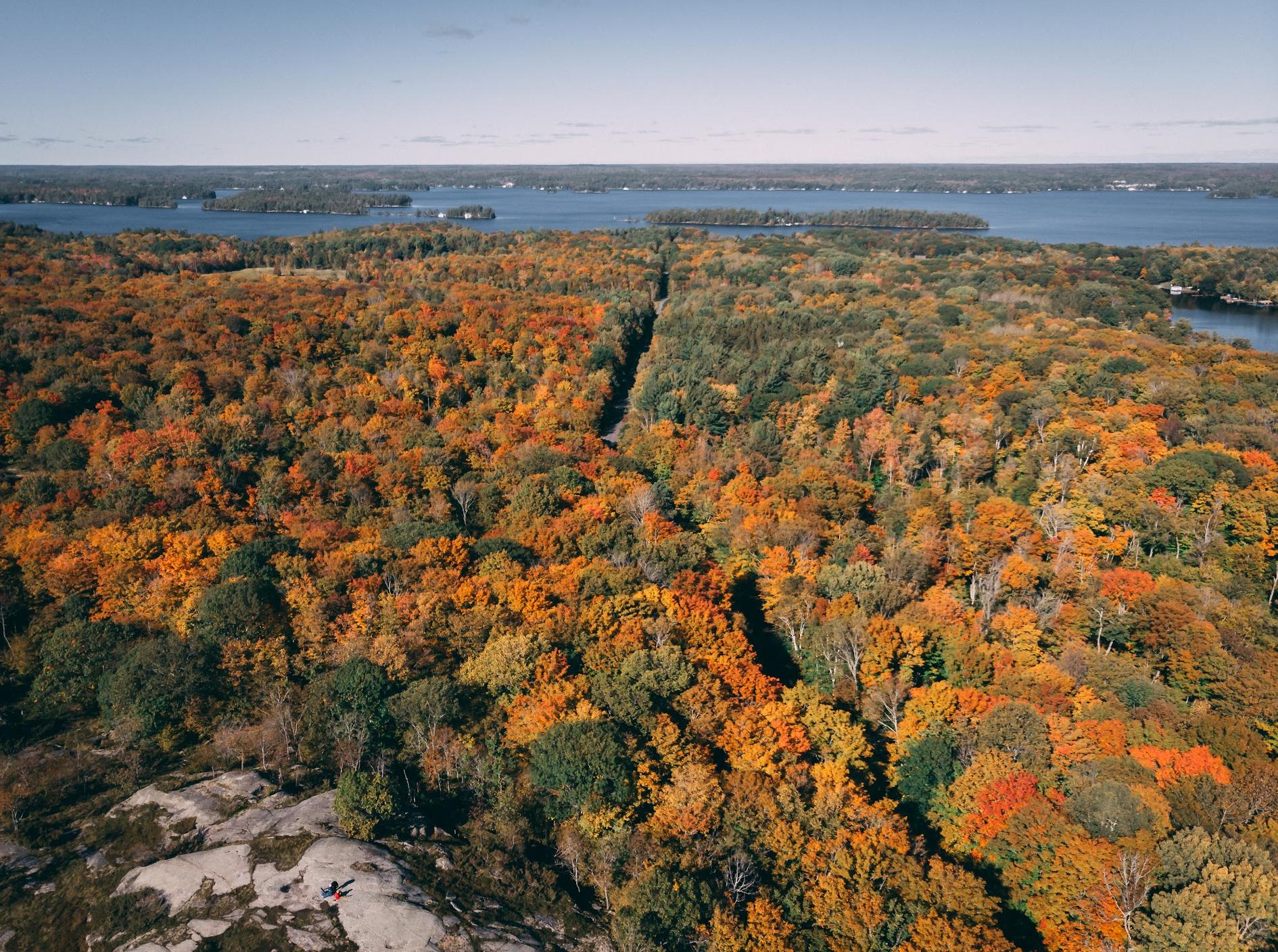 Walker's Point Lookout Trail