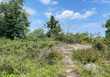 Walker's Point Lookout Trail