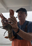 Rugosa Lobster Tours