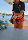 Rugosa Lobster Tours