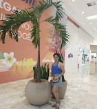 Shopping Center Norte