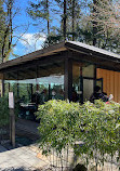 Umami Café at Portland Japanese Garden