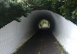 Cape Cod Rail Trail