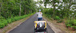 Cape Cod Rail Trail