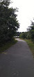 Cape Cod Rail Trail