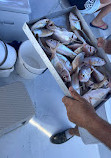 Chania Pro Fishing Trips