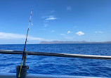 Chania Pro Fishing Trips