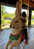 Van Saun Park Carousel