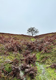 Peak District National Park