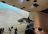 National Museum of Qatar