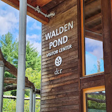 Walden Pond State Reservation