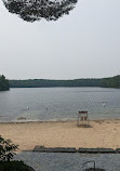 Walden Pond State Reservation