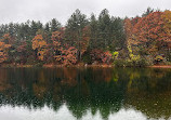 Walden Pond State Reservation