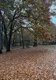 Walden Pond State Reservation