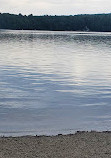 Walden Pond State Reservation