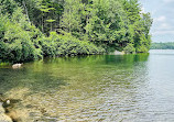 Walden Pond State Reservation