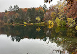 Walden Pond State Reservation