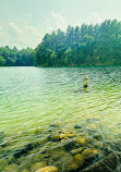 Walden Pond State Reservation