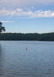 Walden Pond State Reservation