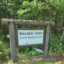 Walden Pond State Reservation