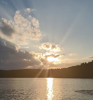 Walden Pond State Reservation