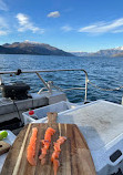 Queenstown Fishing