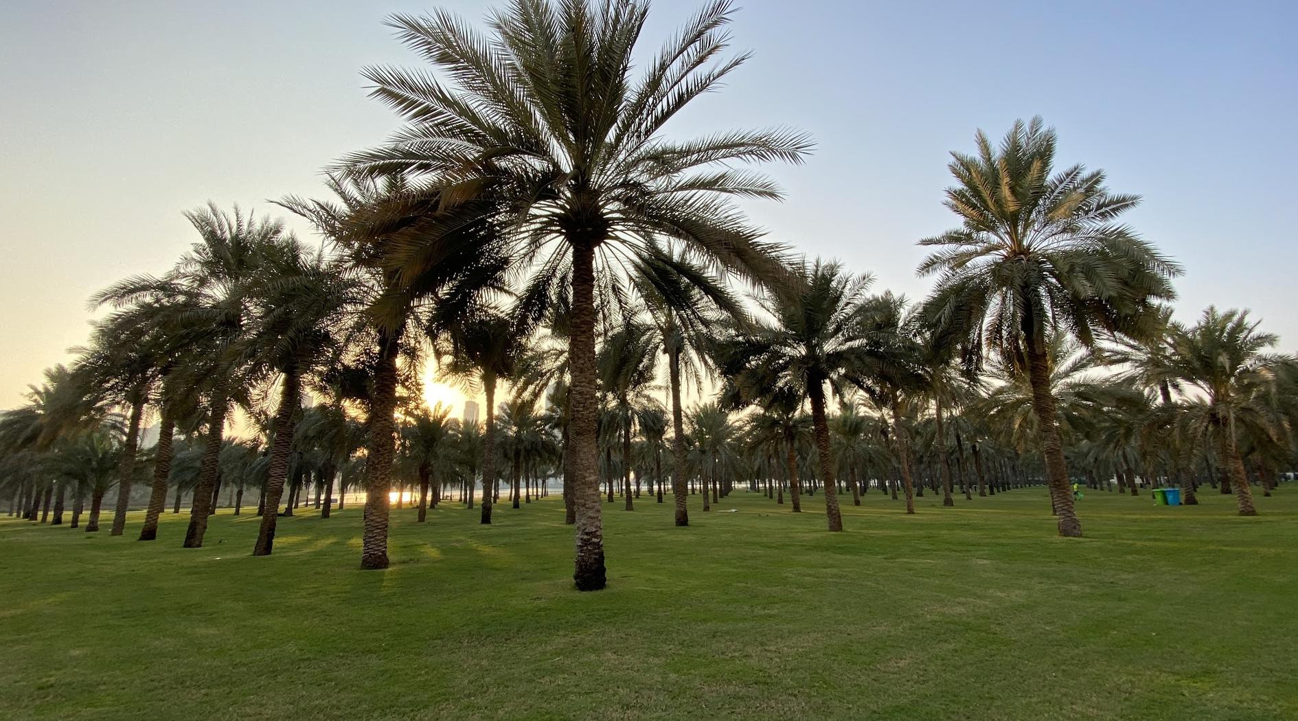 Torre Buhaira Corniche Bel Resheed