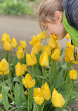 Botanischer Garten Solingen