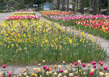 Botanischer Garten Solingen