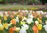 Botanischer Garten Solingen