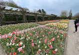 Botanischer Garten Solingen