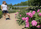 Botanischer Garten Solingen