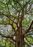 Sree Vadakkumnathan Temple