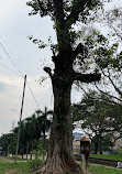 Sree Vadakkumnathan Temple