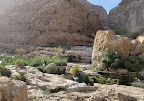 Wadi Shab