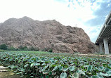 Wadi Shab