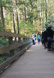 Lynn Canyon Park East Parking Lot